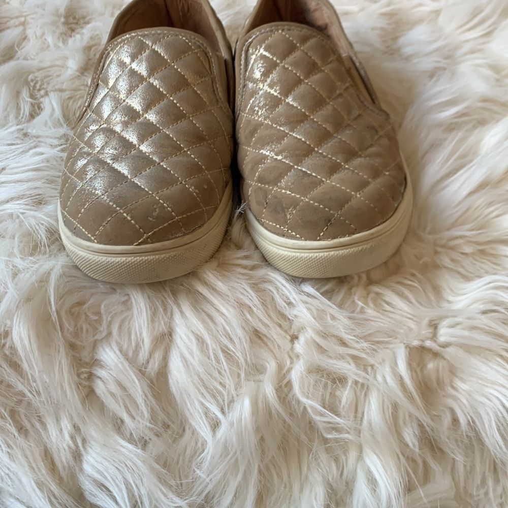 Steve Madden Women's Ecentrcq Shimmer Sneaker Size 7B - Picture 2 of 11